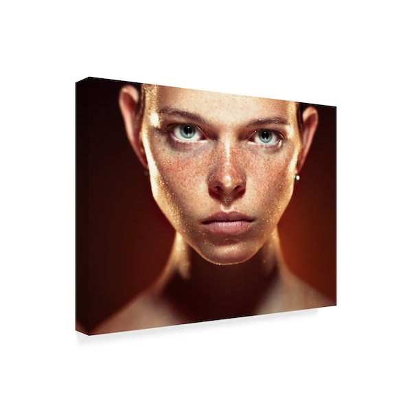 Danil Rudoi 'The Stare' Canvas Art,24x32